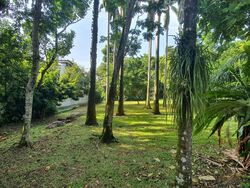 Raffles Park (D11), Detached #468796561